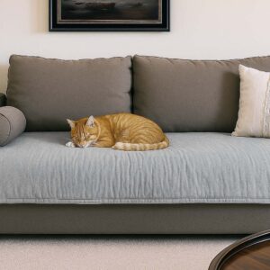 Pillow 2 Cuerpos Gris